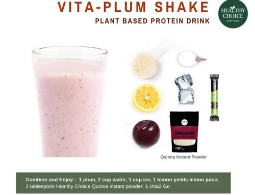 VITA Plum Shake